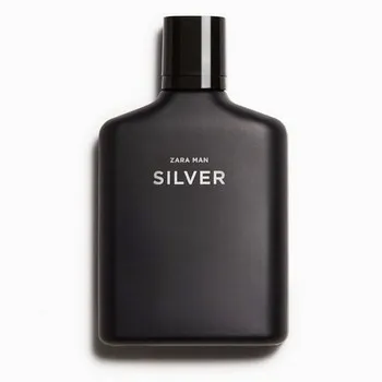 Zara Silver Man